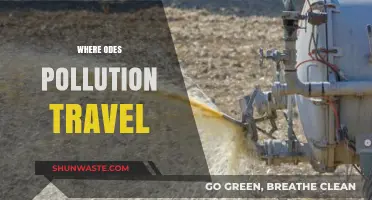 The Journey of Pollution: Where Does It Go?