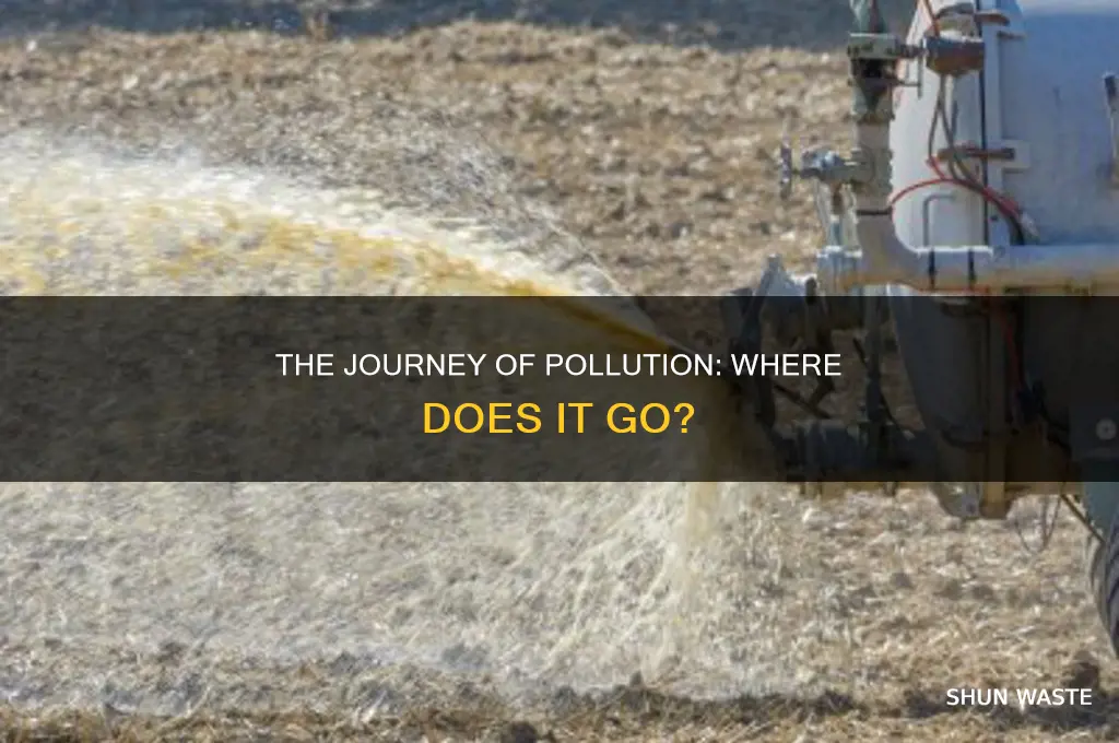 where odes pollution travel