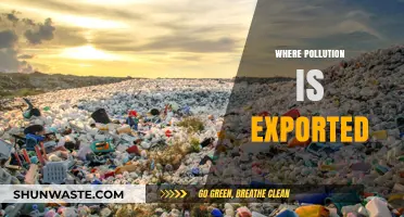 Pollution's Global Trail: Exporting Environmental Hazards