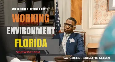 Reporting a Hostile Work Environment in Florida: Steps and Resources