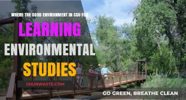 CSU's Ideal Learning Environment for Environmental Studies: A Comprehensive Guide