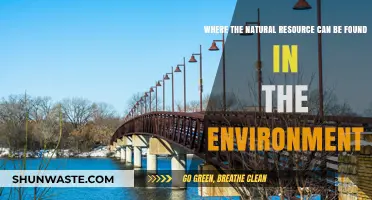 Exploring Earth's Treasures: Locating Natural Resources in the Environment
