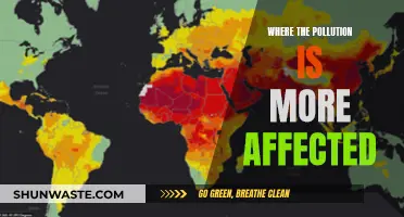 Pollution's Worst Victims: Where It Hurts the Most