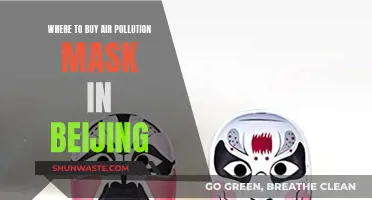 Beijing Air Pollution: Where to Buy Masks?