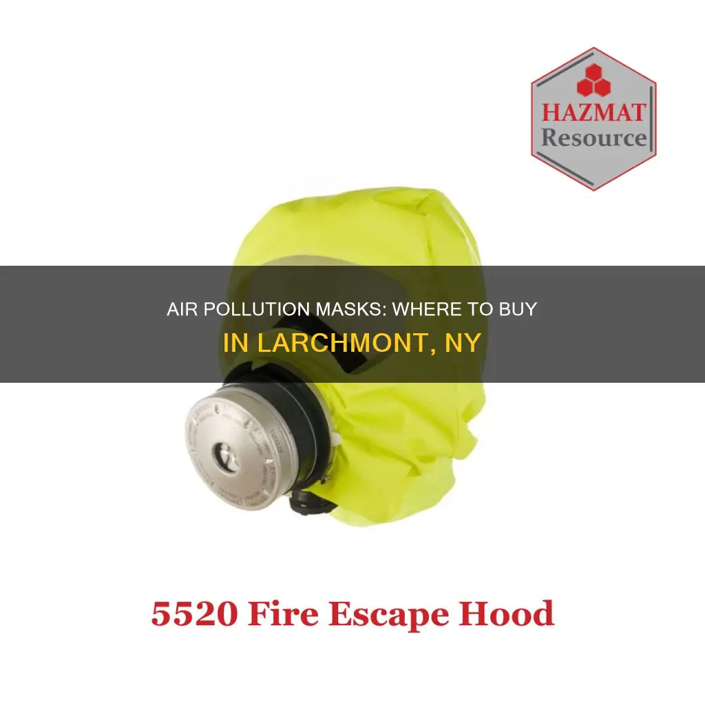 where to buy air pollution masks larchmont ny