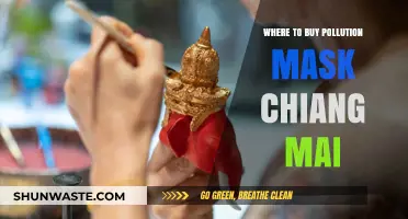 Best Places to Buy Pollution Masks in Chiang Mai