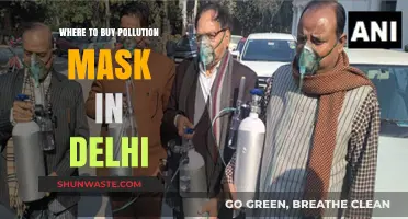 Delhi's Pollution Mask: Where to Buy?