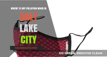 Salt Lake City's Best Places for Pollution Masks