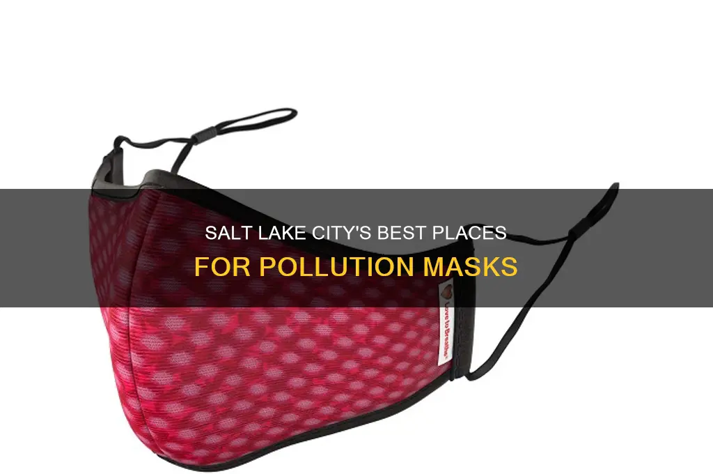 where to buy pollution mask in salt lake city