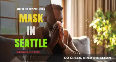 Best Places to Buy Pollution Masks in Seattle