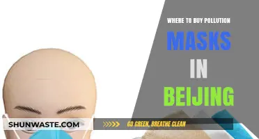 Buy Pollution Masks: Beijing's Essential Shopping Guide
