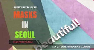 Buy Pollution Masks: Seoul's Top Spots