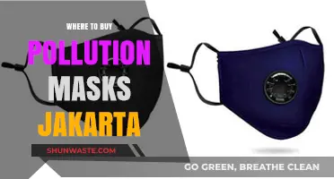Jakarta's Air Pollution: Where to Buy Masks?