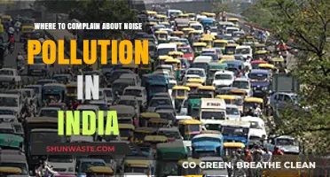 Noise Pollution: India's Complaint Procedure