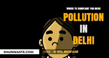 Delhi Noise Pollution: Who to Report to?