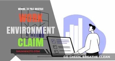 Navigating Hostile Work Environment Claims: Where to File Your Complaint