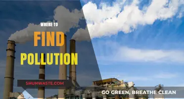 Pollution's Presence: Where to Find It