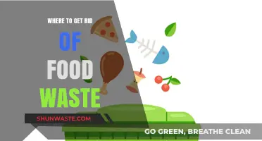 Sustainable Solutions: Where to Dispose of Food Waste Responsibly