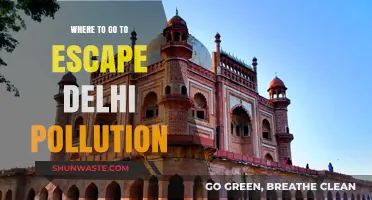 Breathing Space: Escaping Delhi's Pollution