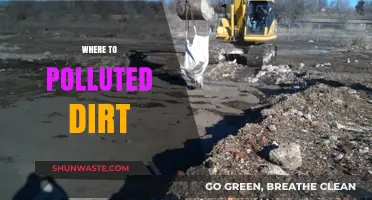 Dirt Pollution: Where to Dump Contaminated Soil?