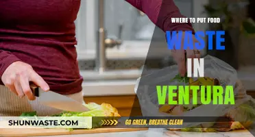 Sustainable Ventura: Your Guide to Proper Food Waste Disposal