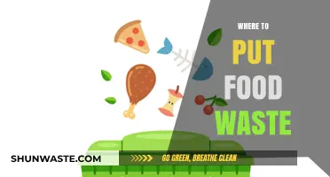 Sustainable Disposal: Where to Put Food Waste for a Greener Tomorrow