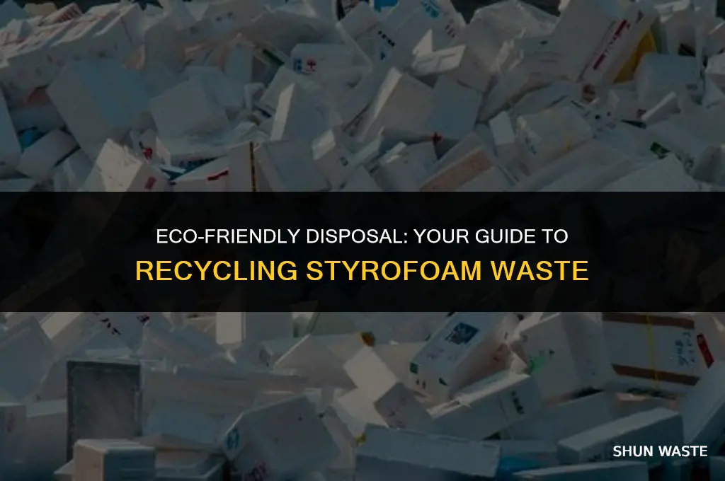 where to recycle styrofoam waste management