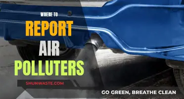Report Air Polluters: Know Your Rights and Responsibilities