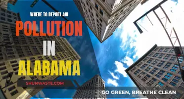 Alabama Air Pollution: Report It Here