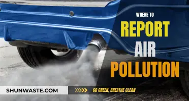 Report Air Pollution: Know Your Rights and Responsibilities