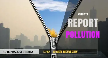 Report Pollution: Know Where to Turn