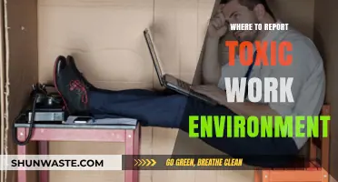 Reporting a Toxic Work Environment: Essential Steps and Resources