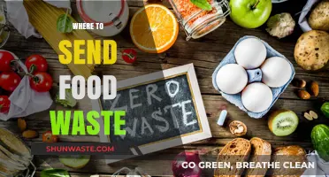 Sustainable Solutions: Where to Send Your Food Waste