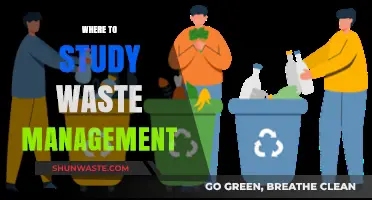 Exploring Top Waste Management Programs: A Comprehensive Guide
