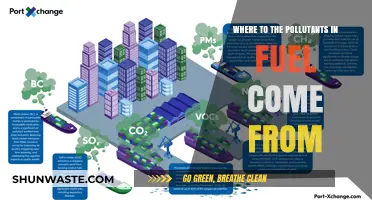 The Pollution Puzzle: Tracing Fuel Toxins