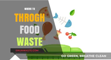 Eco-Friendly Disposal: Where to Throw Food Waste Responsibly