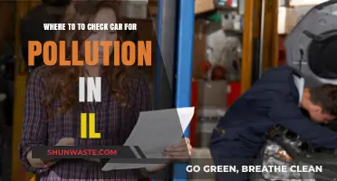 Car Pollution Check: Illinois Edition