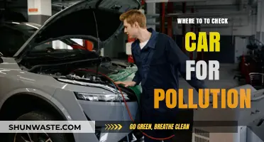 Car Pollution Check: Where to Go?