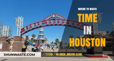 Exploring Houston: Top Spots to Unwind and Waste Time
