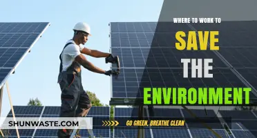 Eco-Friendly Careers: Where to Work to Save the Environment