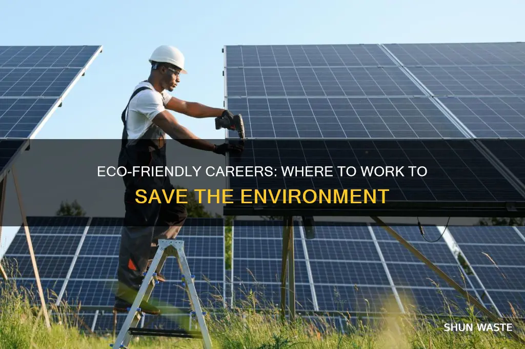 where to work to save the environment