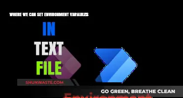 Setting Environment Variables in Text Files: A Comprehensive Guide