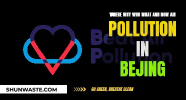 Air Pollution in Beijing: Causes, Effects, and Solutions