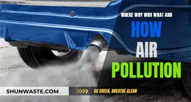 Air Pollution: What, Why, Who, How and When?