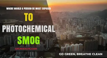 Urban Hazards: Photochemical Smog Exposure Zones
