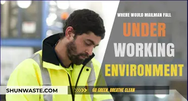 Mailman's Workplace: Understanding Their Role in Various Work Environments