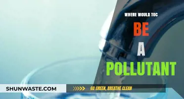 TOC: When Does it Become a Pollutant?