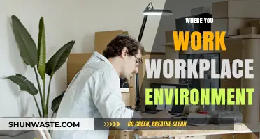 Crafting a Productive Workplace: Environment Tips for Success and Satisfaction