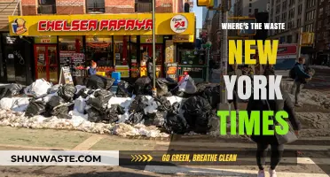 Unveiling the Hidden Waste Crisis in the Big Apple