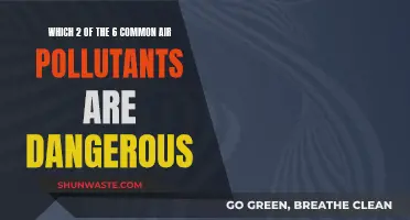 Air Pollutants: Deadly Duo and Their Dangers